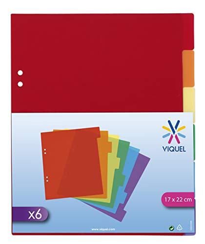 Viquel 6-Positionen-A5-Kunststoff-Trennblätter – Mehrfarbig
