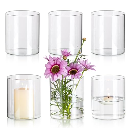 Glasseam Glaszylinder Vase Kleine Vasen für Tischdeko, Klar...