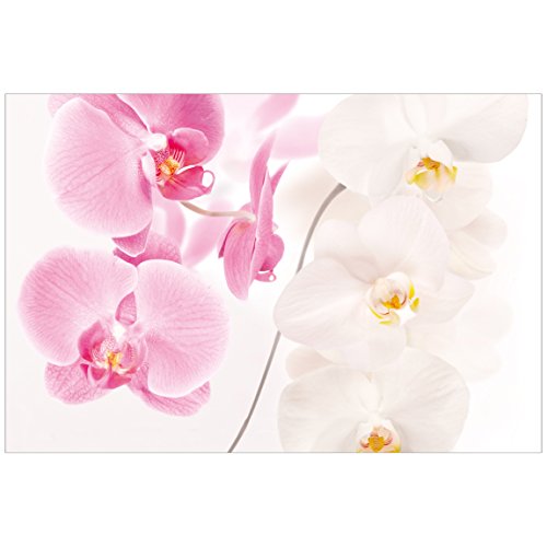 Orchideenbild Fensterfolie Sichtschutz Bild Delicate Orchids...