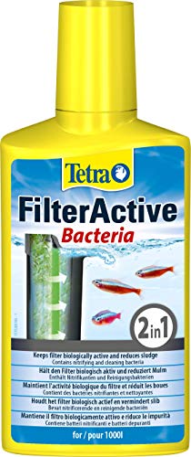 Tetra FilterActive Bacteria - 2in1 Mix aus lebenden...