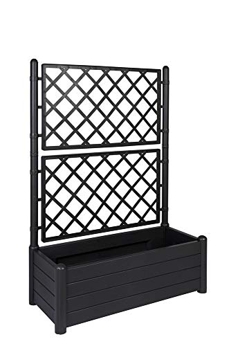 Top Blumenkasten mit Rankgitter entdecken